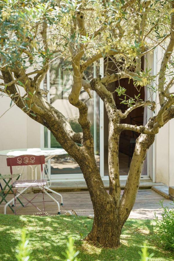 La Terrasse De L'Olivier Beaumes-de-Venise Exteriér fotografie